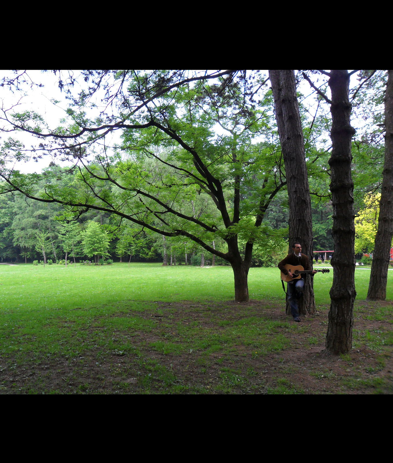 crkva sv. Jeronima, Maksimir, sviranje na vjenčanju, drveće